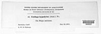 Image Associated With the Occurence